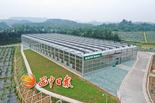 四川巴中国家农业科技园区2018年实现总产值15.26亿元