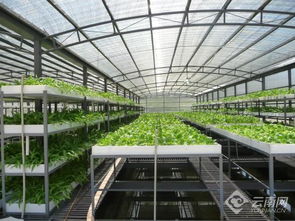 云南重大科技成果促现代农业高质量发展